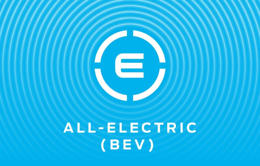 Volledig elektrisch (BEV)