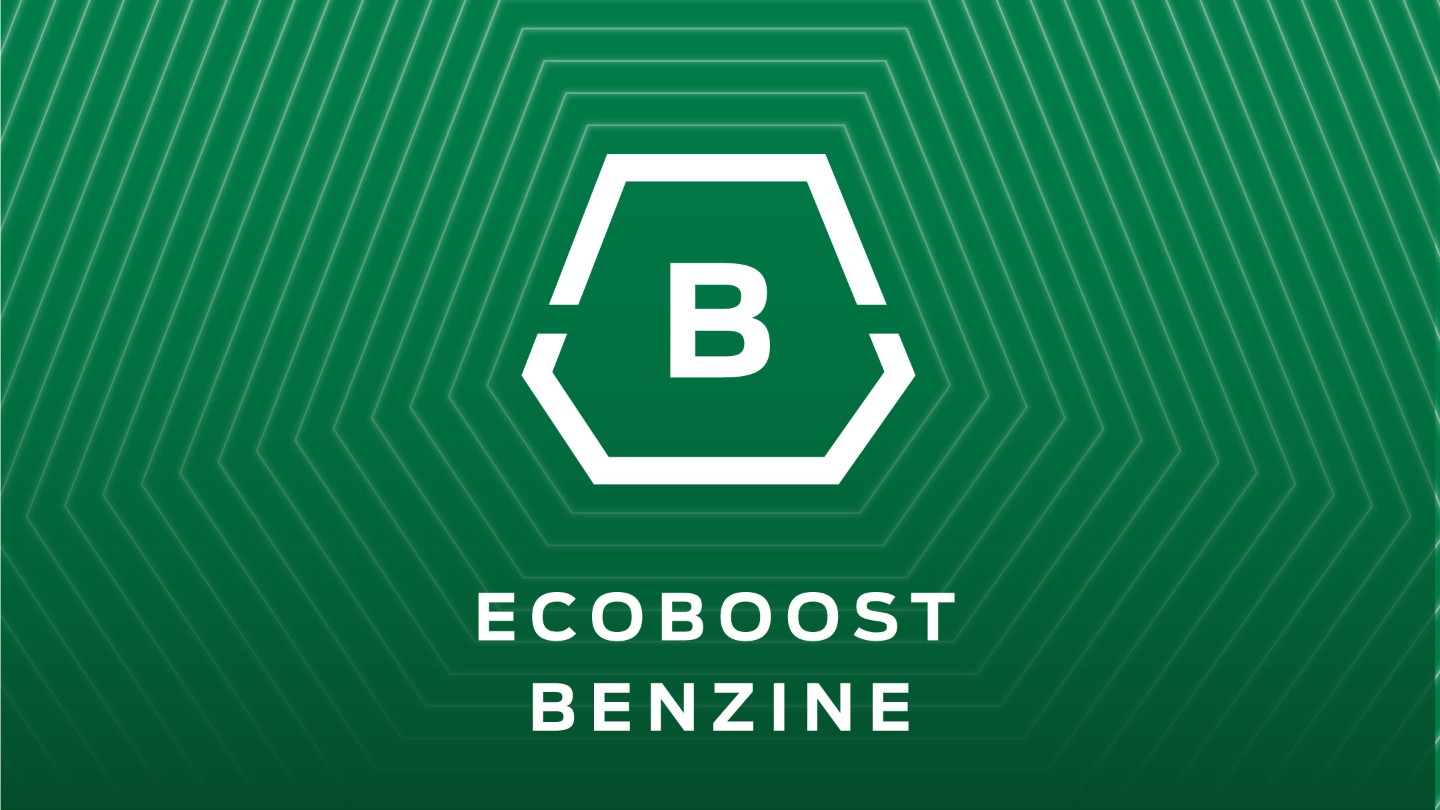 EcoBoost benzine