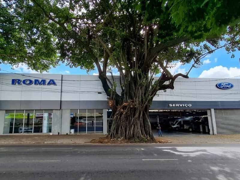 Fachada da concessionária Ford Roma em Contagem