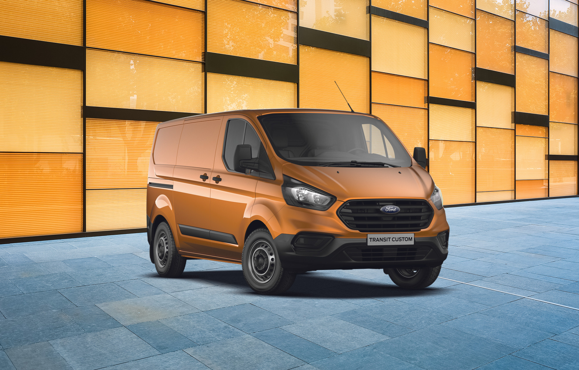 Ford transit 300