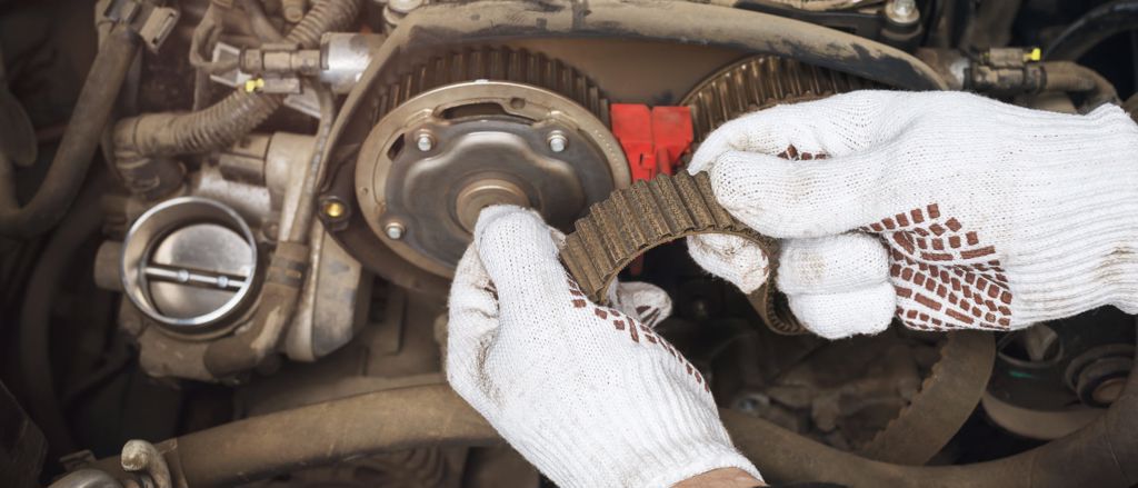 Ford Economy Service - Distributieriem en waterpomp