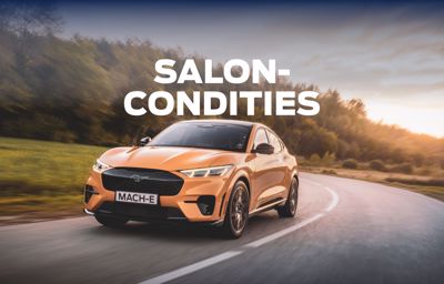 FORD SALON CONDITIES