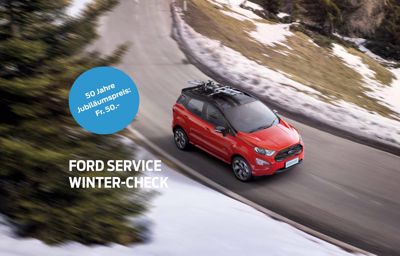 Ford Service Winter-Check