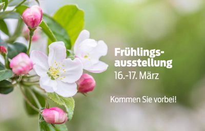 Frühlings-Ausstellung: 16.–17. März 2024
