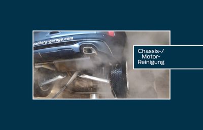 MOTOR - & CHASSISREINIGUNG