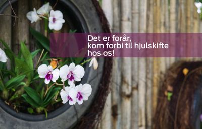 Kom til hjulskifte hos Ford i Skive - vi har altid skarpe priser!