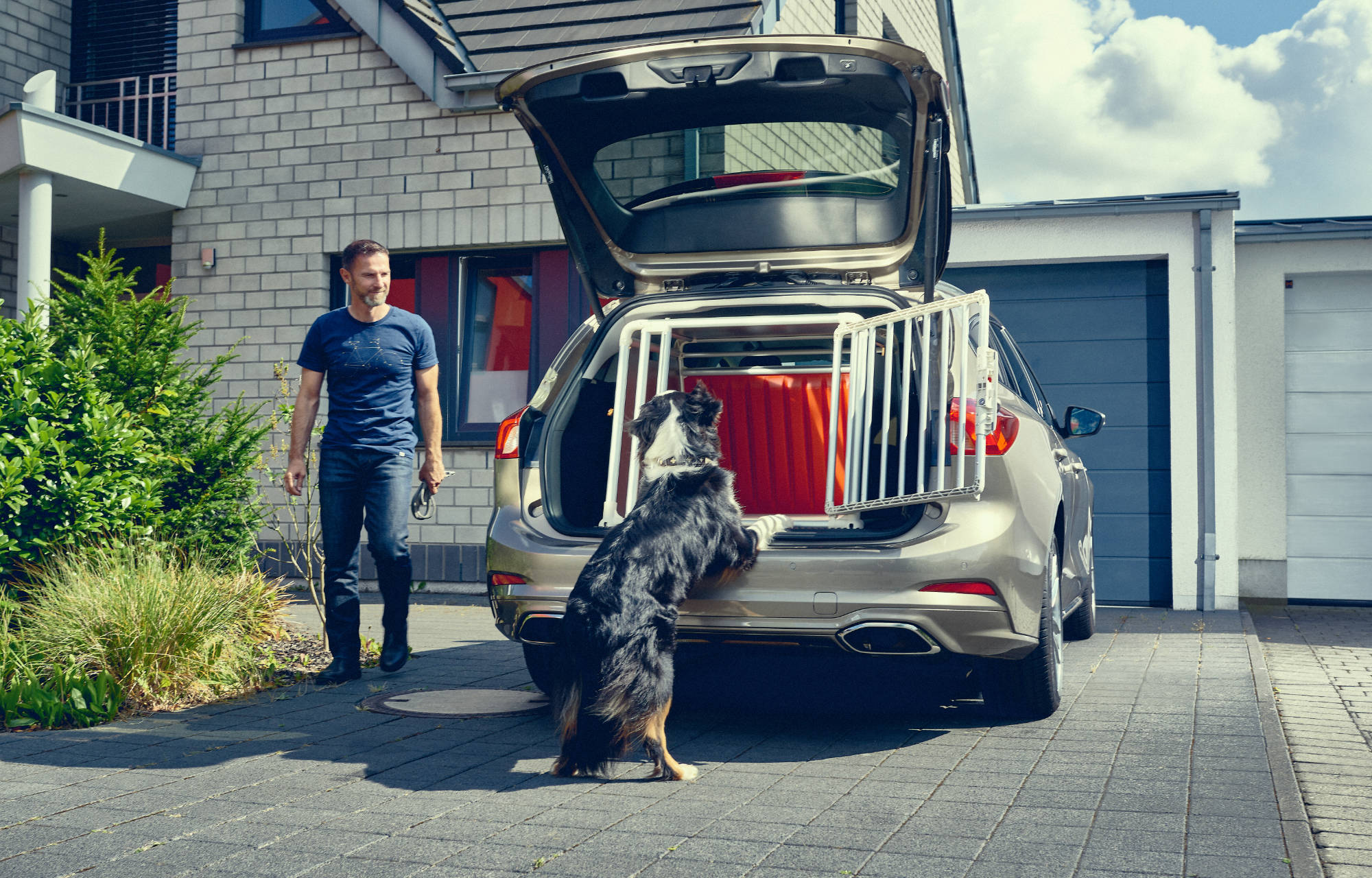 Ford présente Emil, le chien qui participe à améliorer la sécurité des animaux en voiture