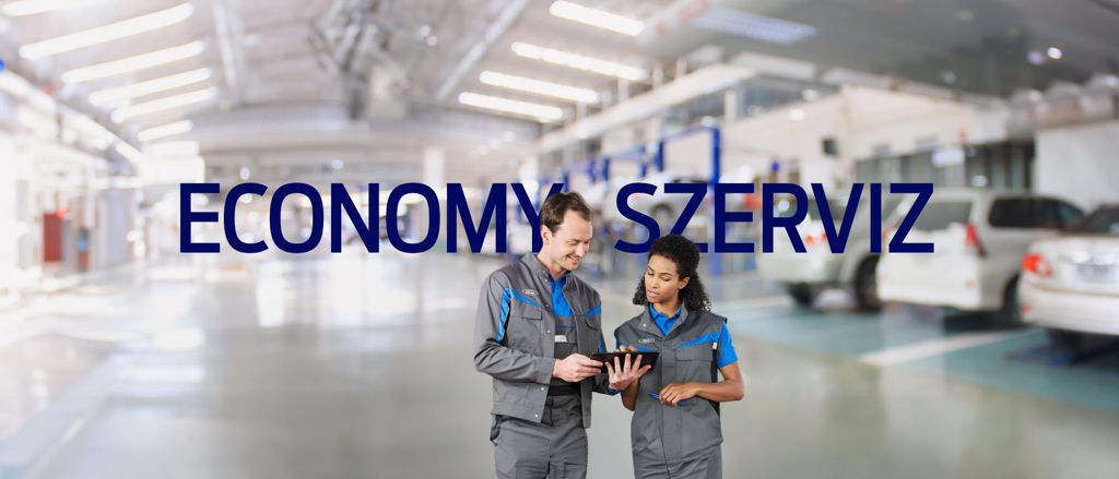 Economy szerviz