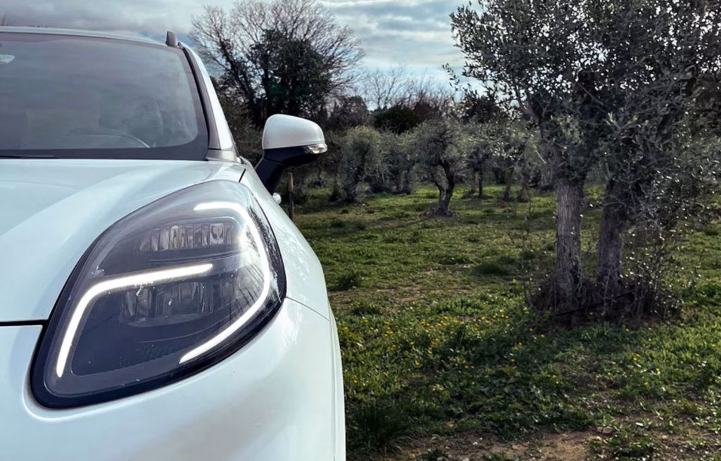Car with Olive Tree