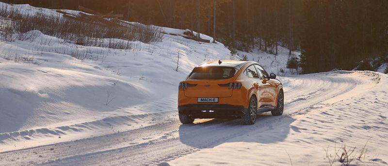 Ford Winterinspectie voor €29,-