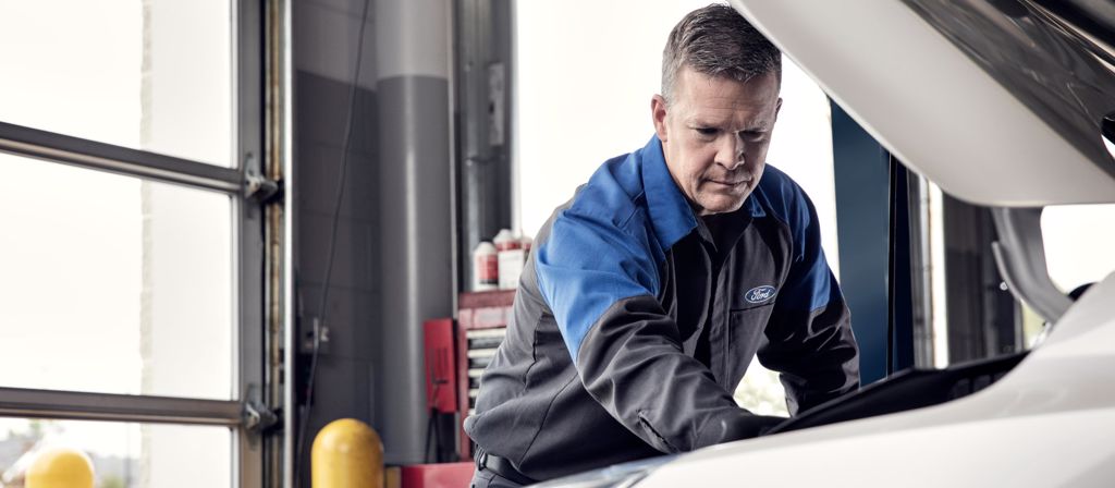 Ford Service Dargaville