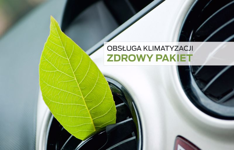 Zdrowy pakiet - akcja klimatyzacja