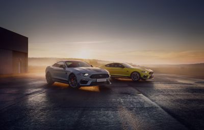 I Dolnośląski Zlot Mustangów