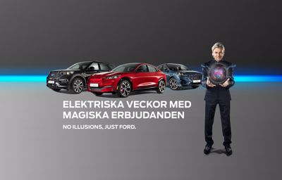 ELEKTRISKA VECKOR