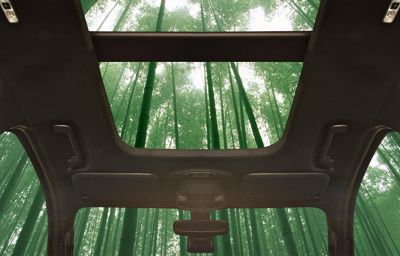 Ford vill tillverka bilar av bambu