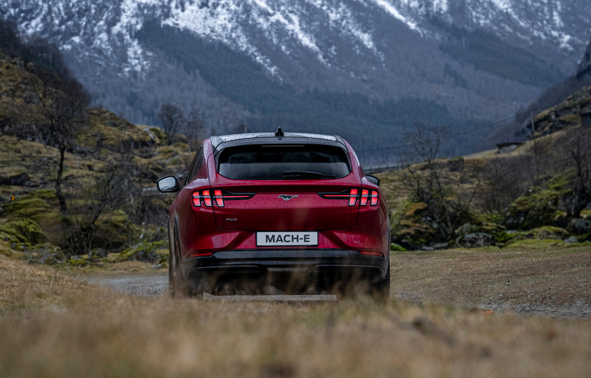Mustang Mach-E i dal