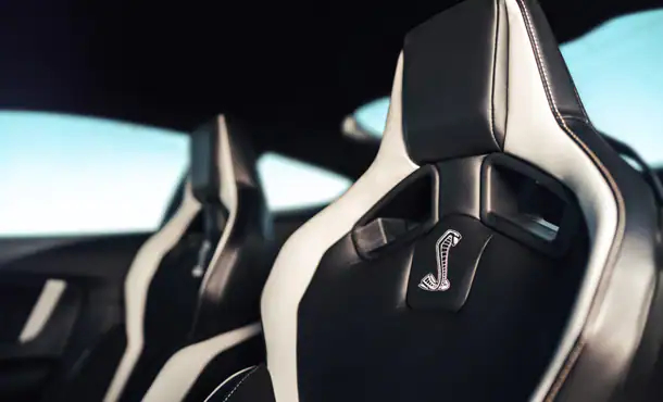RECARO® Leather-trimmed w/Miko® Suede Seats 