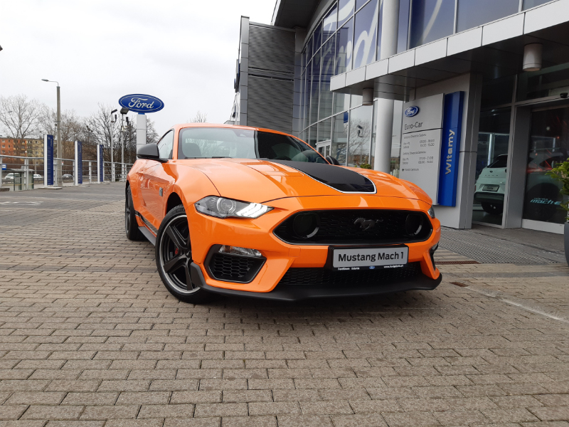 Mustang pomarańczowy
