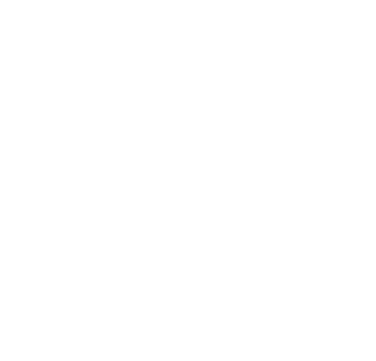 Icon wireless